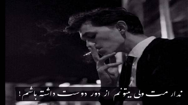  رسیده ها همه خاموش و بی نصیب هوش مصنوعی حبیب